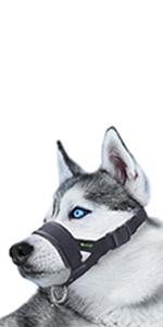 leather muzzle