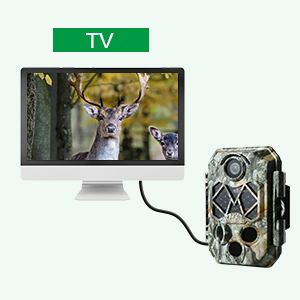 Trail Camera