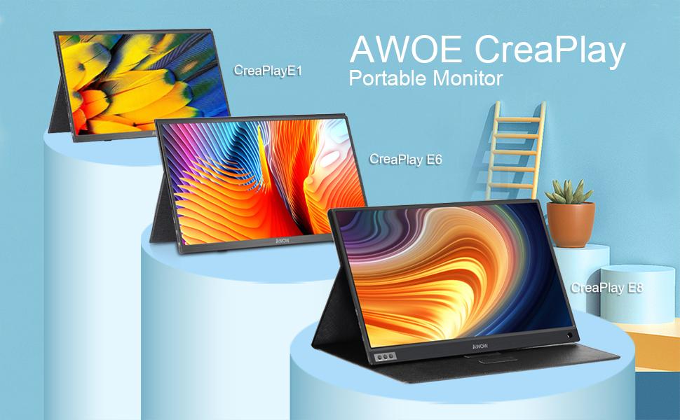 Portable monitor
