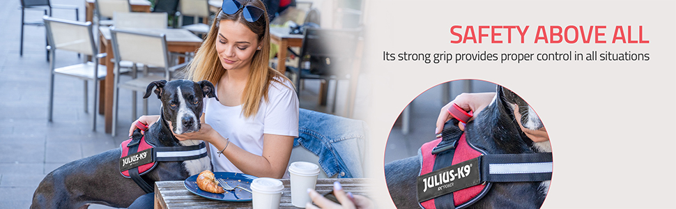 Julius-K9, K9, Powerharness, dog, walking, comfort, control