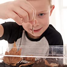 Worm World Lifestyle 2