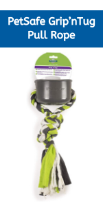 Manners minder; dog trainer; treat and train; automatic treat dispenser; dog treats dispenser