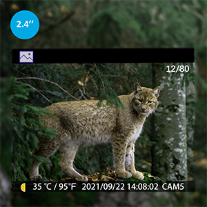 p60 large color screen