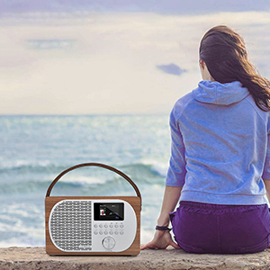 Internet Radio DAB Digital Radio Wireless Bluetooth WIFI Smart Radio Rechargeable Battery