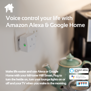 Alexa; Google; smart plug; voice control; convenient; security; save