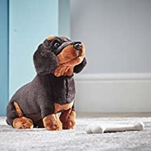 dachshund, sausage dog