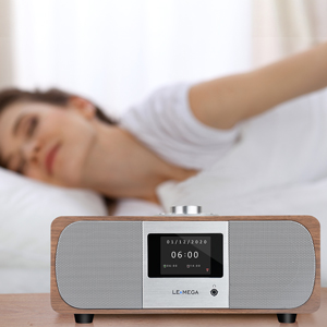 DAB+ Digital Radio Wireless Bluetooth Spotify Connect