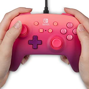 Nintendo Switch controller
