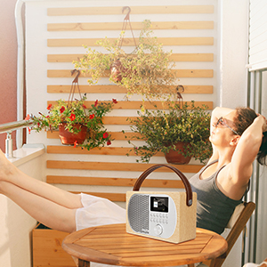 FM Digital Portable Radio Wireless Bluetooth Speaker