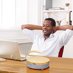 DTS2 BLUETOOTH/FM radio