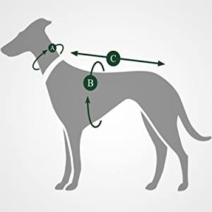 Measuring instructions dog coat graphic.