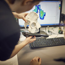 Ergon Ergonomics Bikes Bicycle Saddle Seat Grip