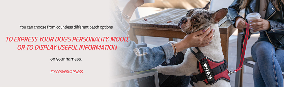 Julius-K9, K9, Powerharness, dog, walking, comfort, control