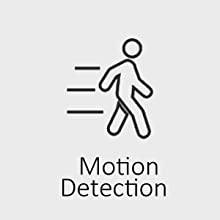 Motion Detection