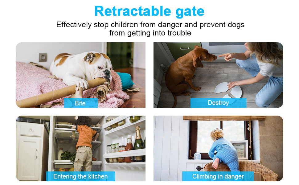 Stair Gates for Dogs