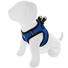 protection against hotspot, itching, flaky, dry skin, rashes, sores, bites, mange, yeast infections