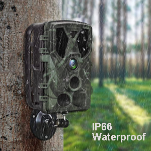 trail camera