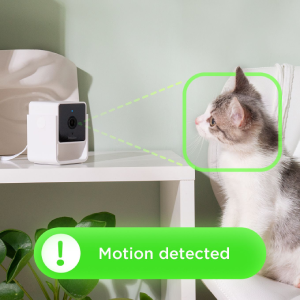Petcube Cam motion detection