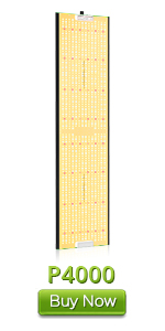 4000w led grow light