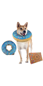 Medium Blue Doughnut