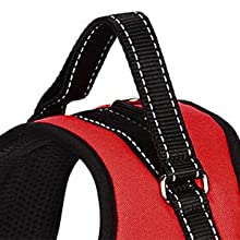 Dog Harness