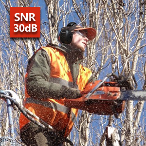 SNR 30dB