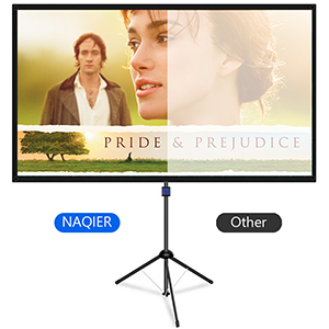 projection screen with stand