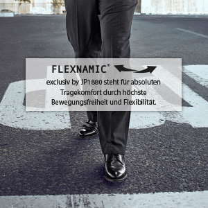 Flexnamic