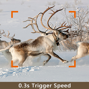 trail camera with fast trigger time