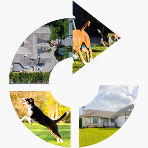 8-å¯é€‰åŒºåŸŸ