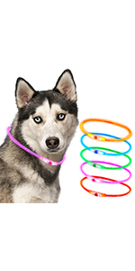 cut to size light up rechargeable dog collar