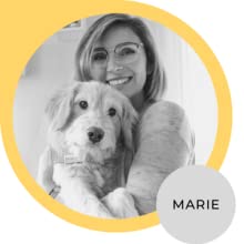 Social media, customer care, start-up Germany, pet supplies, dog supplies, cat supplies