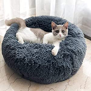 grey cat bed