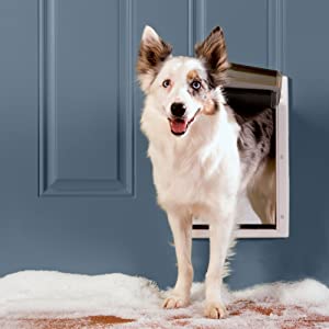 Pet Door