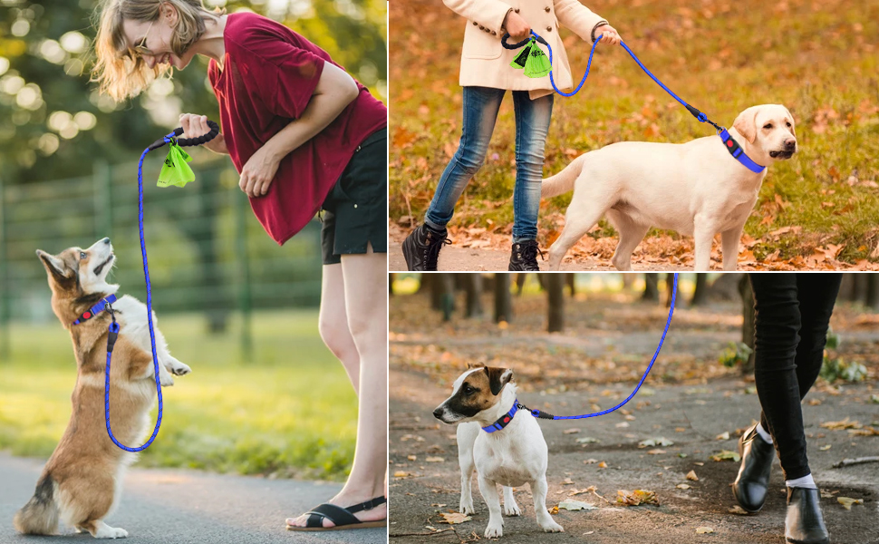 reflective dog collar