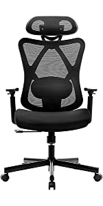 Ergonomic Office Chair