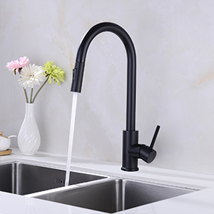 kitchen mixer tap
