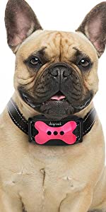 Pink Bark Collar