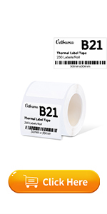 b21