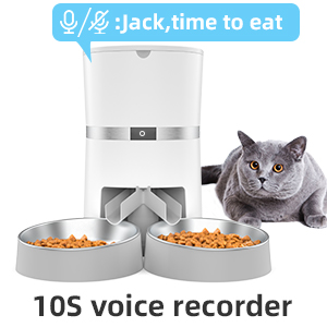 10S voice recorder