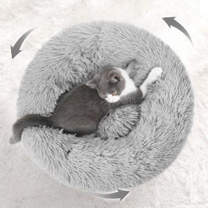 cat bed