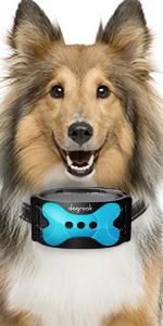 Blue Bark Collar