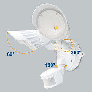 Wide Detection & Lighting Range
