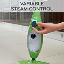 Variable Steam Control