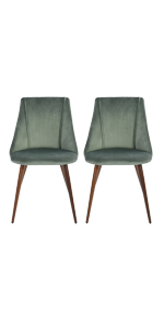 cactus dining chair