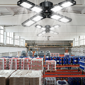 LED Garage Light