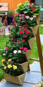 ladder planter wooden garden tiered strawberry herb flower strawberries seeds vegtrug veg trug herbs