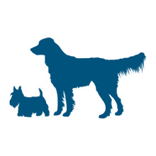 dog weight and height icon