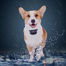 A+ 3. waterproof Spray dog barking collar