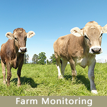 Farm Monitoring